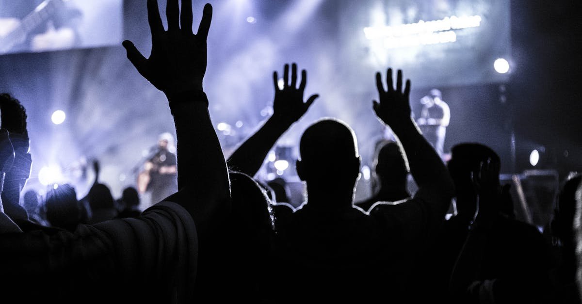 Silhouettes of an energetic audience cheering during a live concert in Houston.